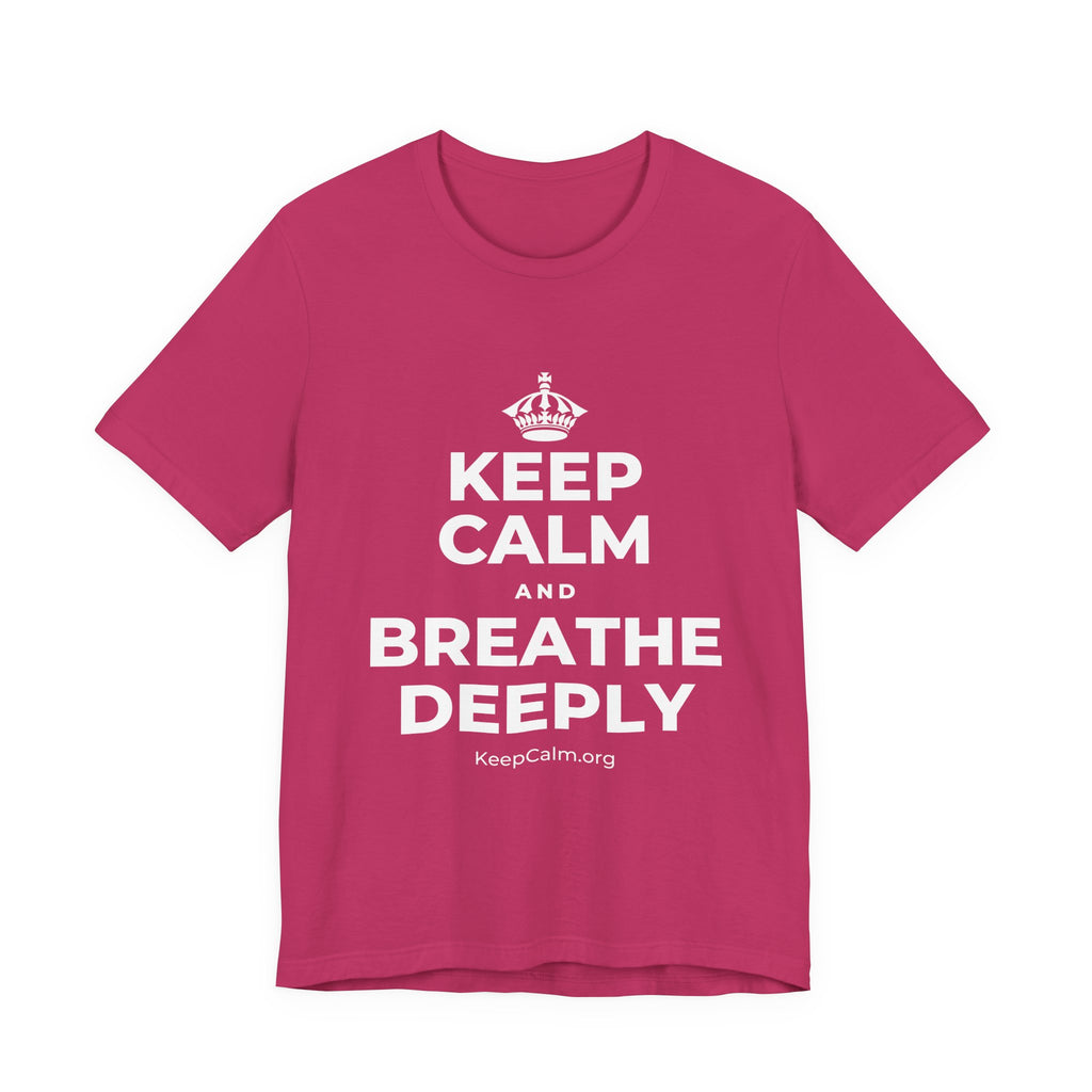 KEEP CALM AND BREATHE DEEPLY T-Shirt (Baby Blue–Silver)