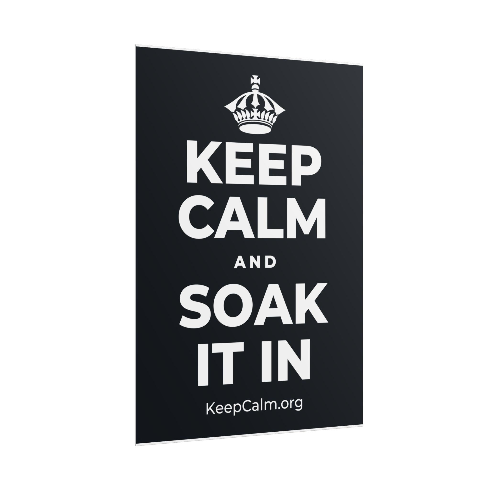 KEEP CALM AND SOAK IT IN Poster (Dark)