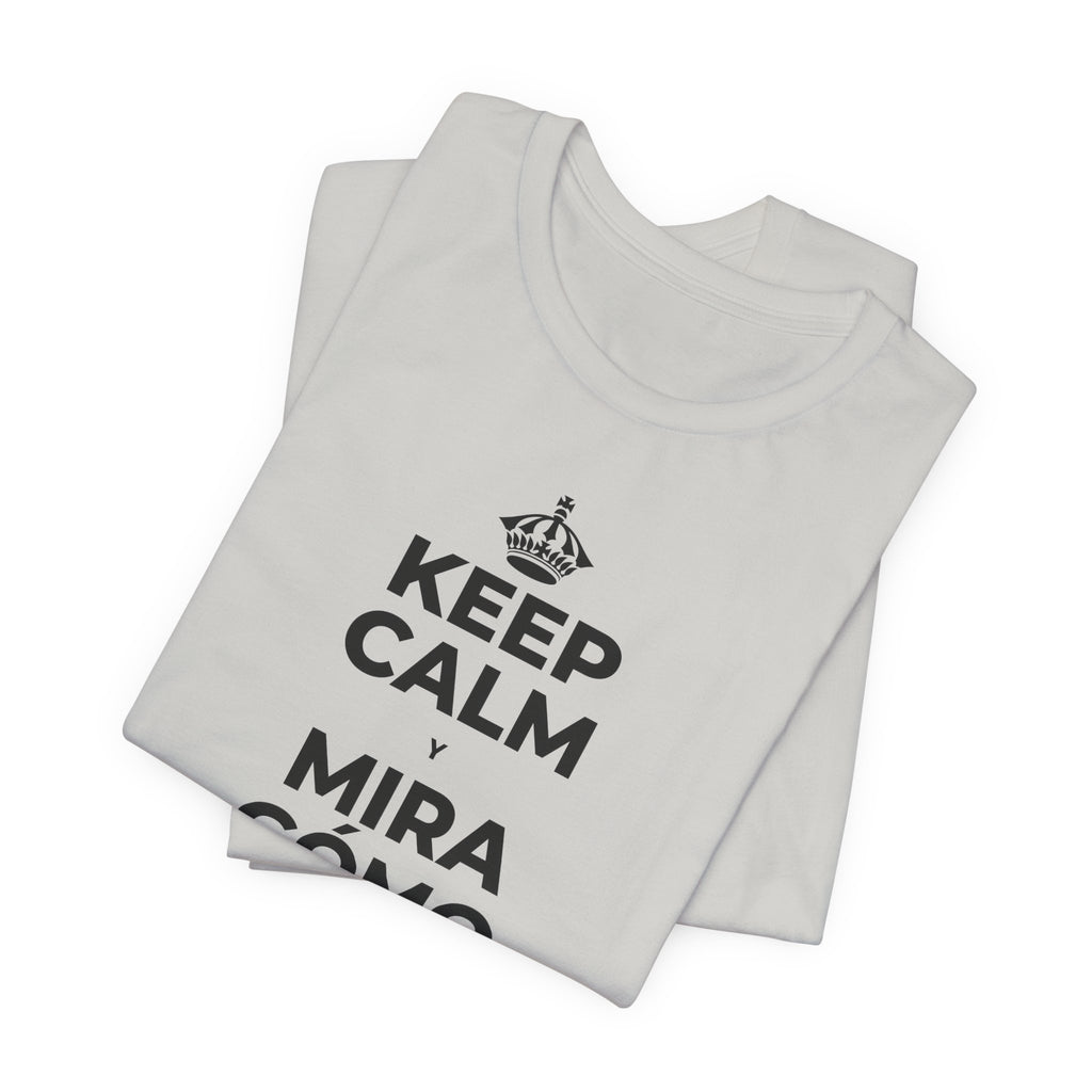 KEEP CALM Y MIRA CÓMO CAMBIAN LAS HOJAS T-Shirt (Baby Blue–Silver)