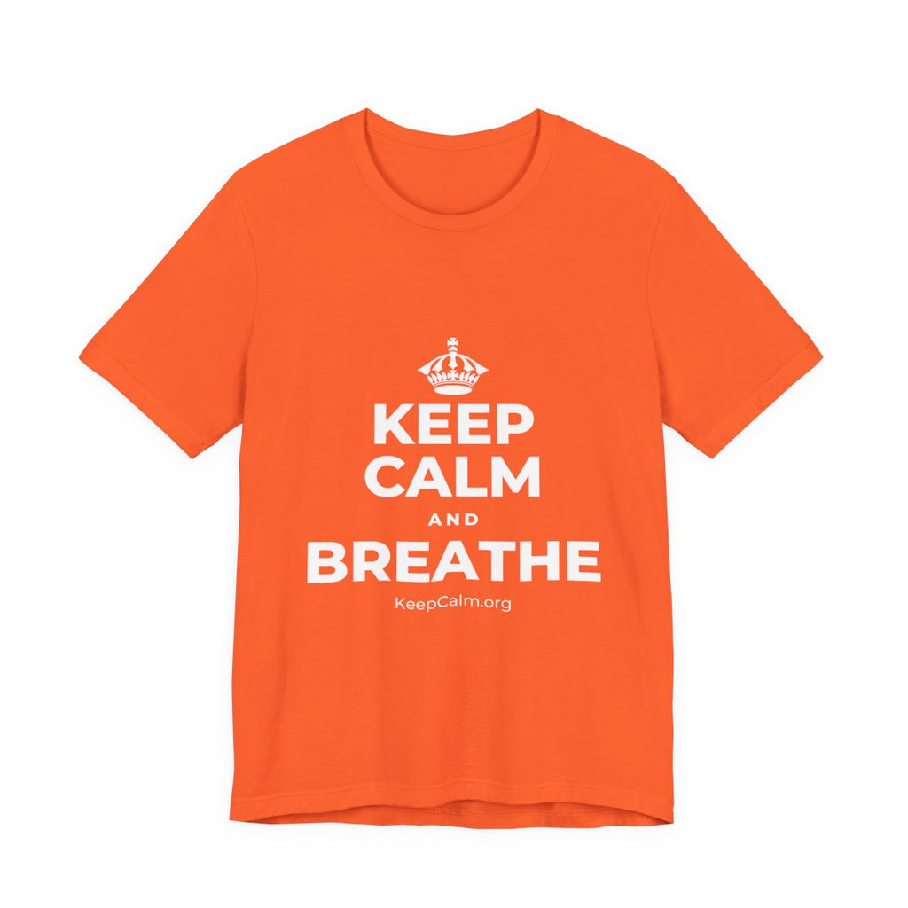 KEEP CALM AND BREATHE T-Shirt (Baby Blue–Silver)
