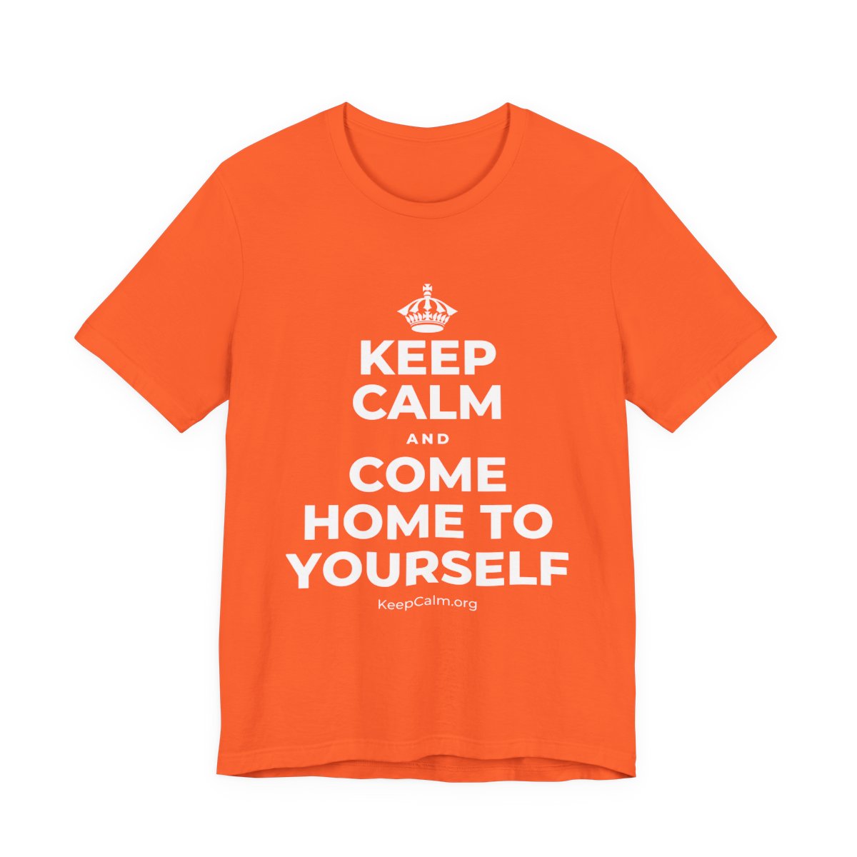 KEEP CALM AND COME HOME TO YOURSELF T-Shirt (Baby Blue–Silver)
