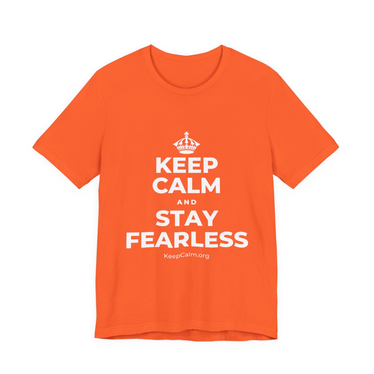KEEP CALM AND STAY FEARLESS T-Shirt (Baby Blue–Silver)